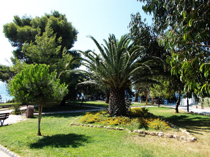  Metamorfosi, Sitonija 